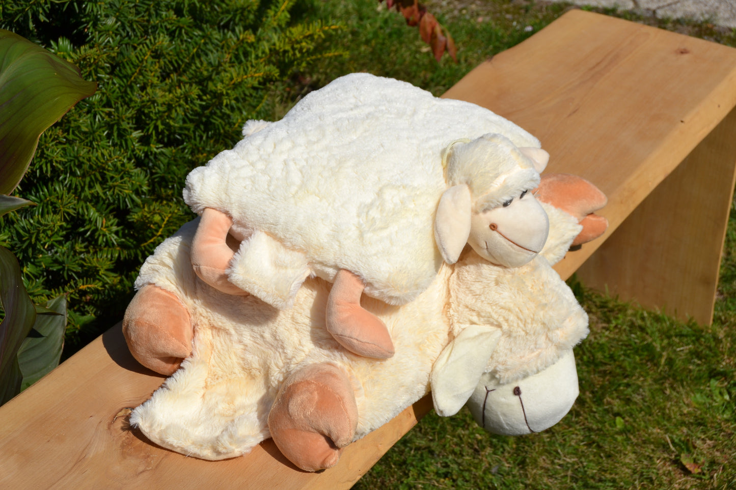 Klappkissen, Schaf Frieda