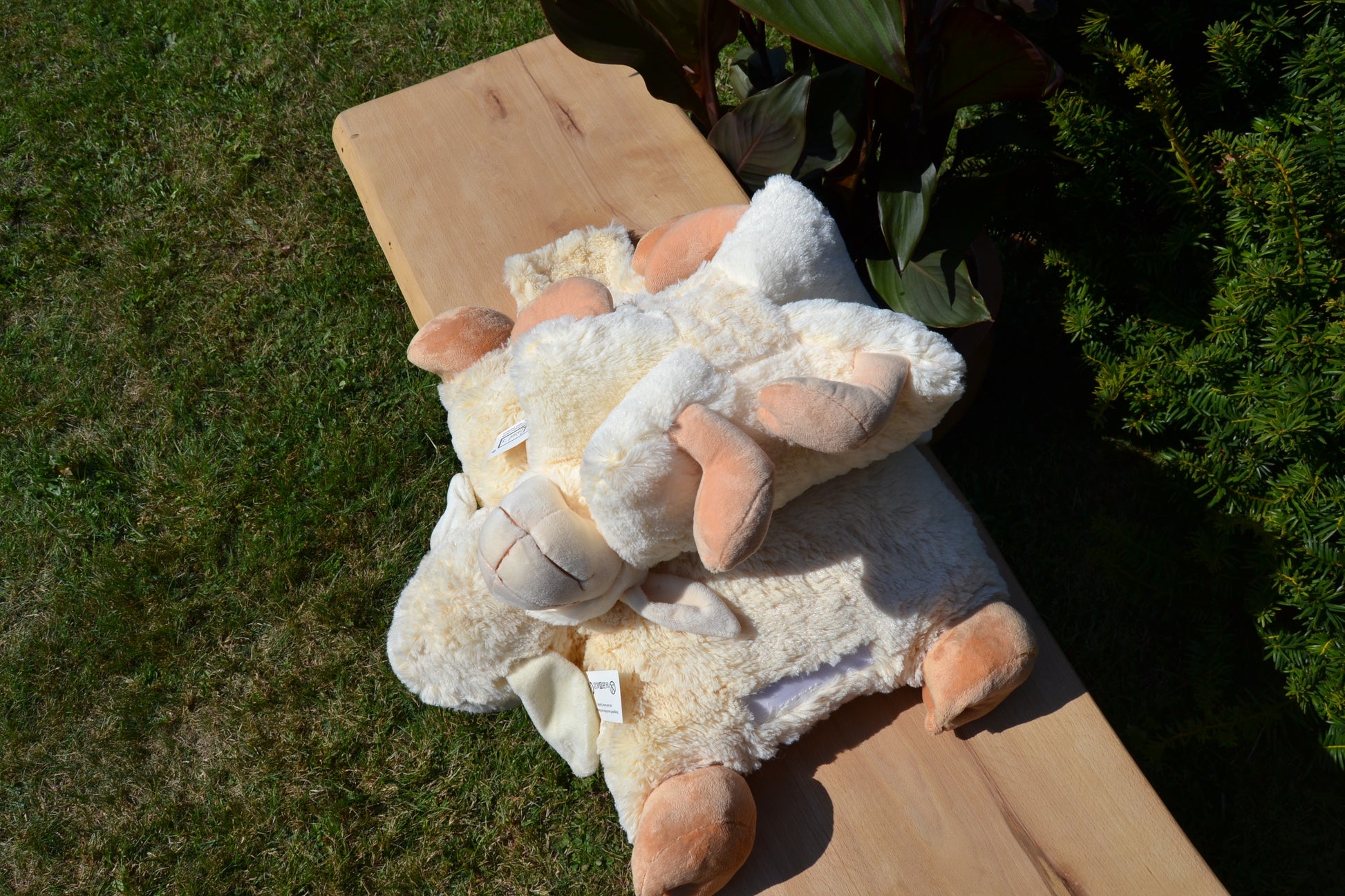 Klappkissen, Schaf Frieda