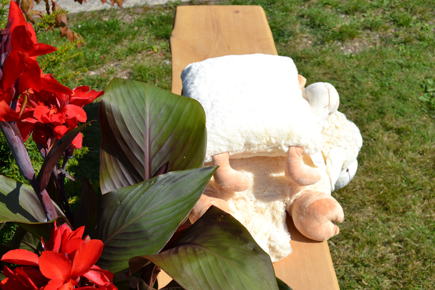 Klappkissen, Schaf Frieda