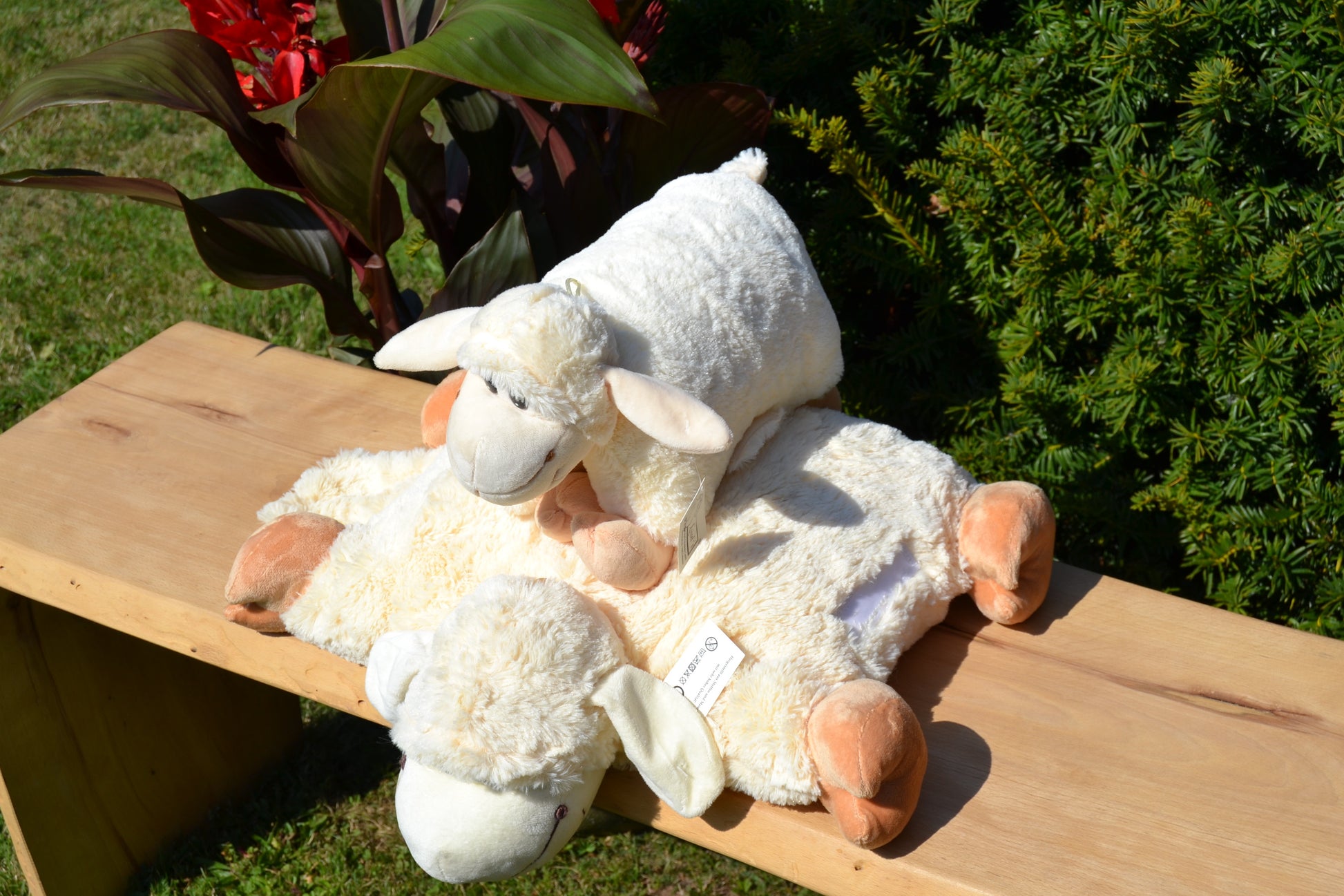 Klappkissen, Schaf Frieda