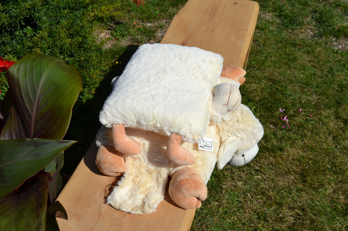 Klappkissen, Schaf Frieda