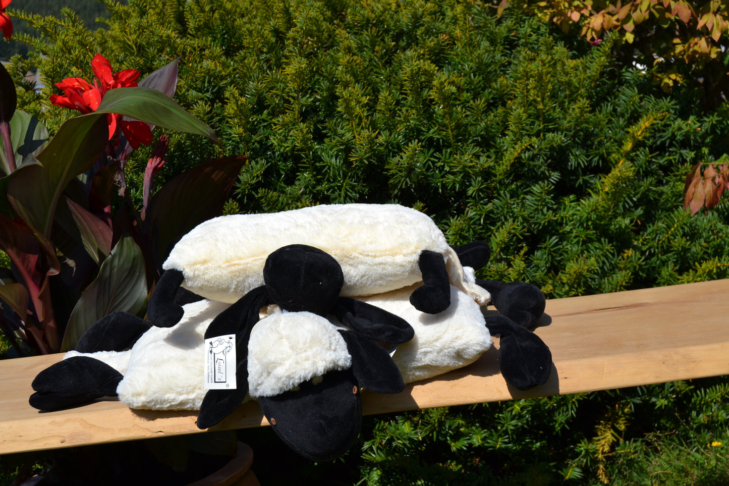 Klappkissen in Tierform "Merle, das Schwarzkopfschaf"