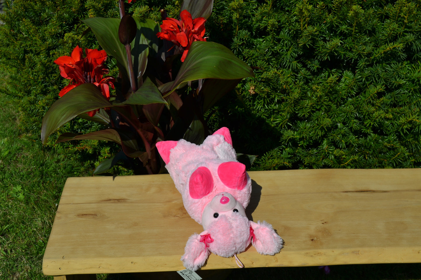 Klappkissen in Tierform "Monty, der Pudel"