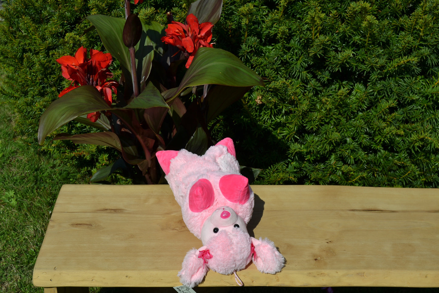 Klappkissen in Tierform "Monty, der Pudel"