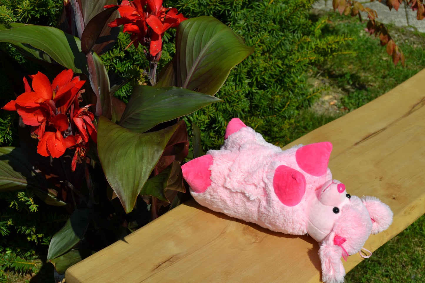 Klappkissen in Tierform "Monty, der Pudel"