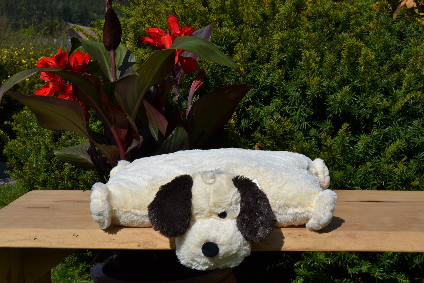 Klappkissen, Collie "Buddy"