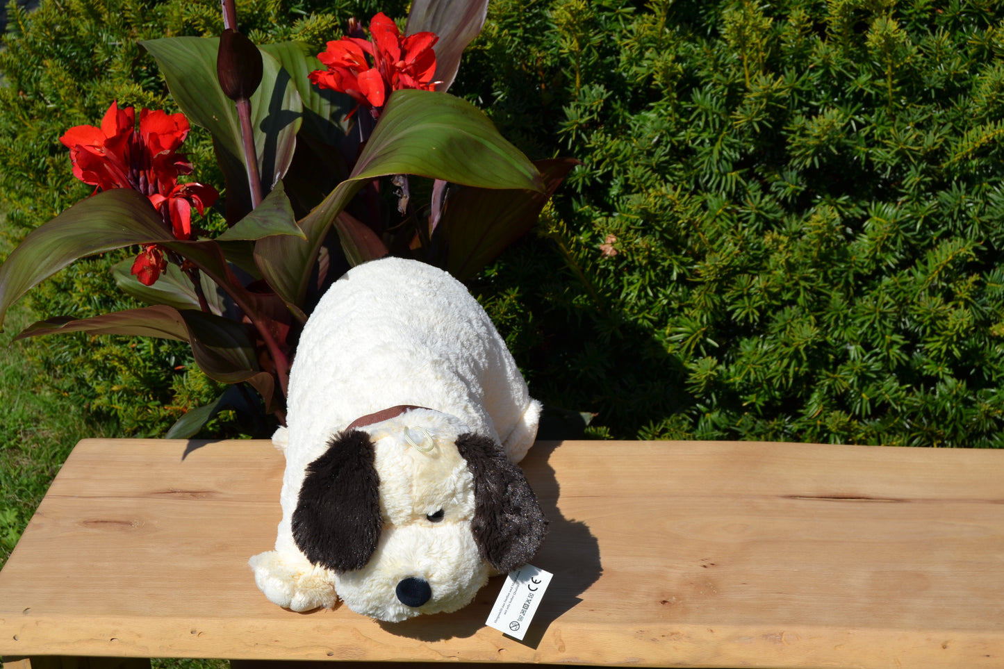 Klappkissen, Collie "Buddy"