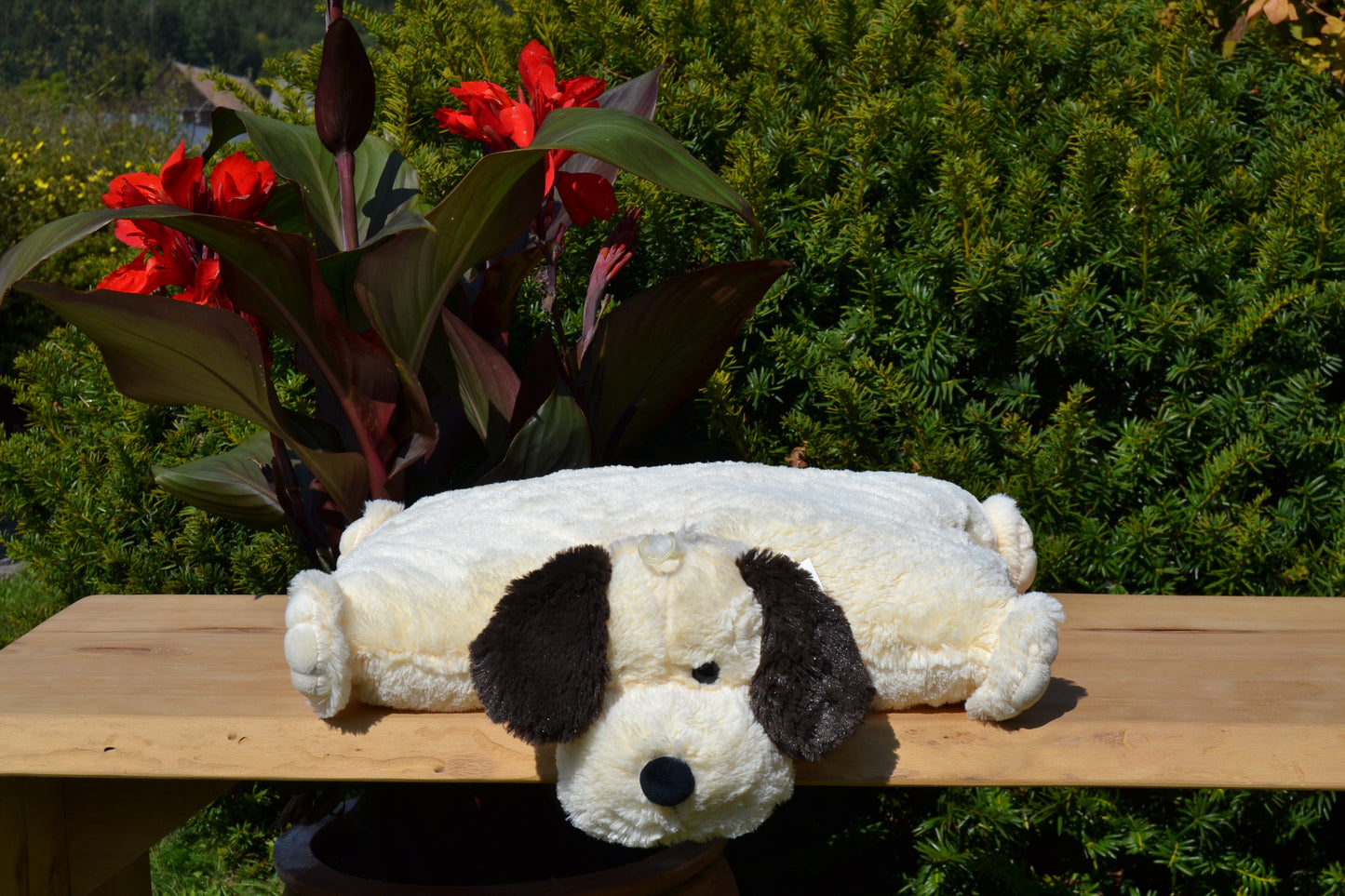 Klappkissen, Collie "Buddy"