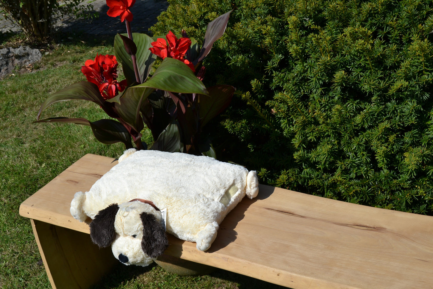 Klappkissen, Collie "Buddy"