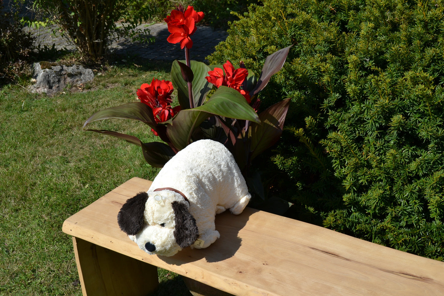 Klappkissen, Collie "Buddy"