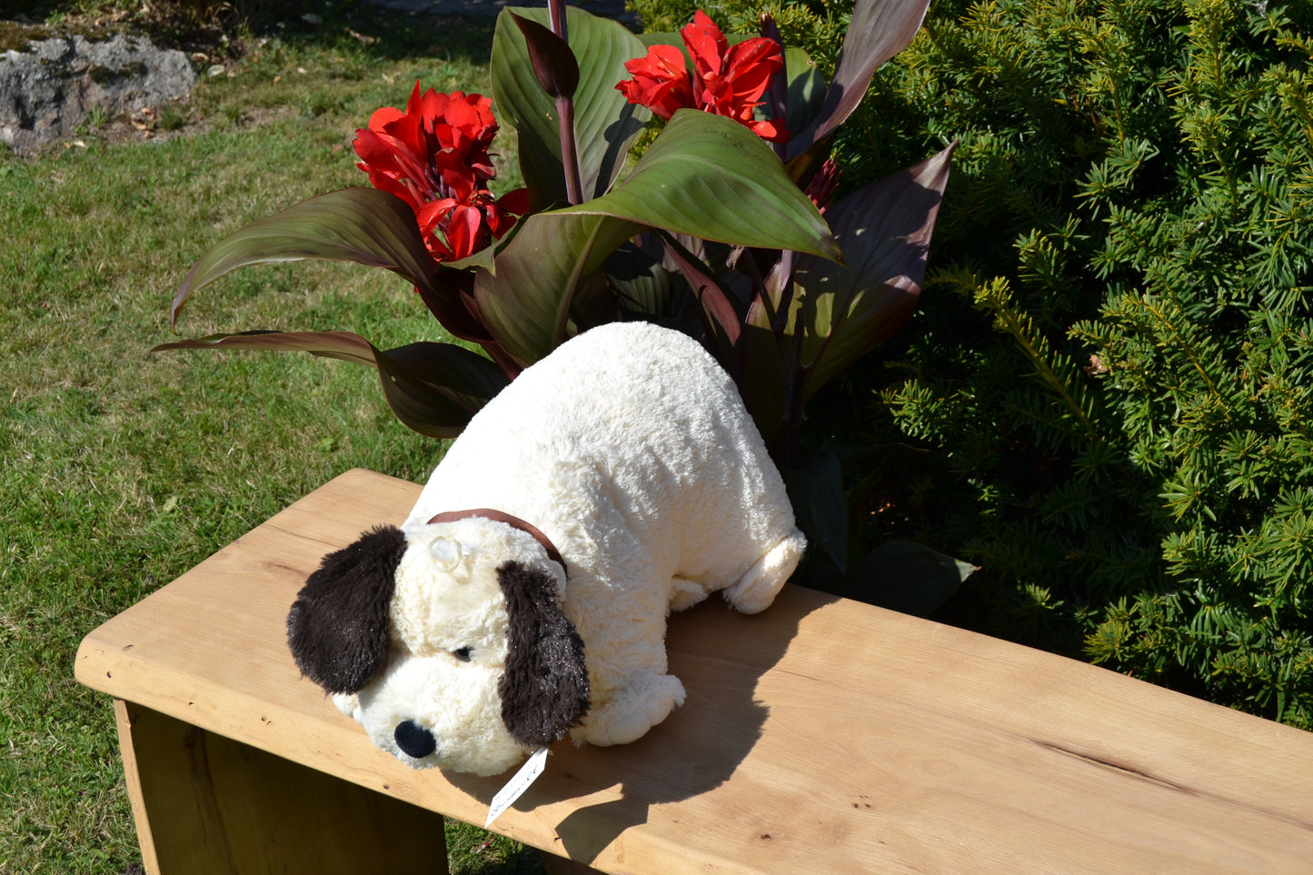 Klappkissen, Collie "Buddy"