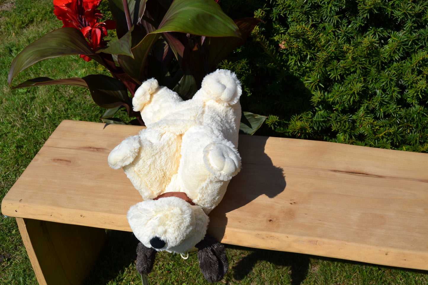 Klappkissen, Collie "Buddy"