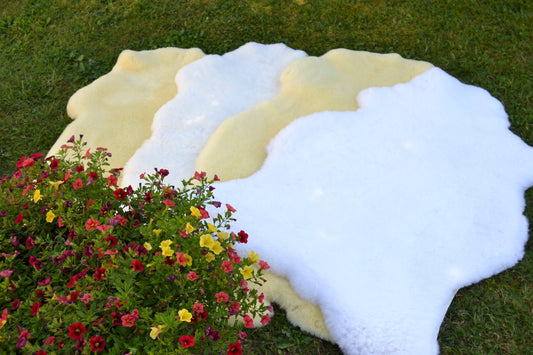 Medizinisches Lammfell