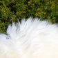 Weißes Merino-Schafsfell